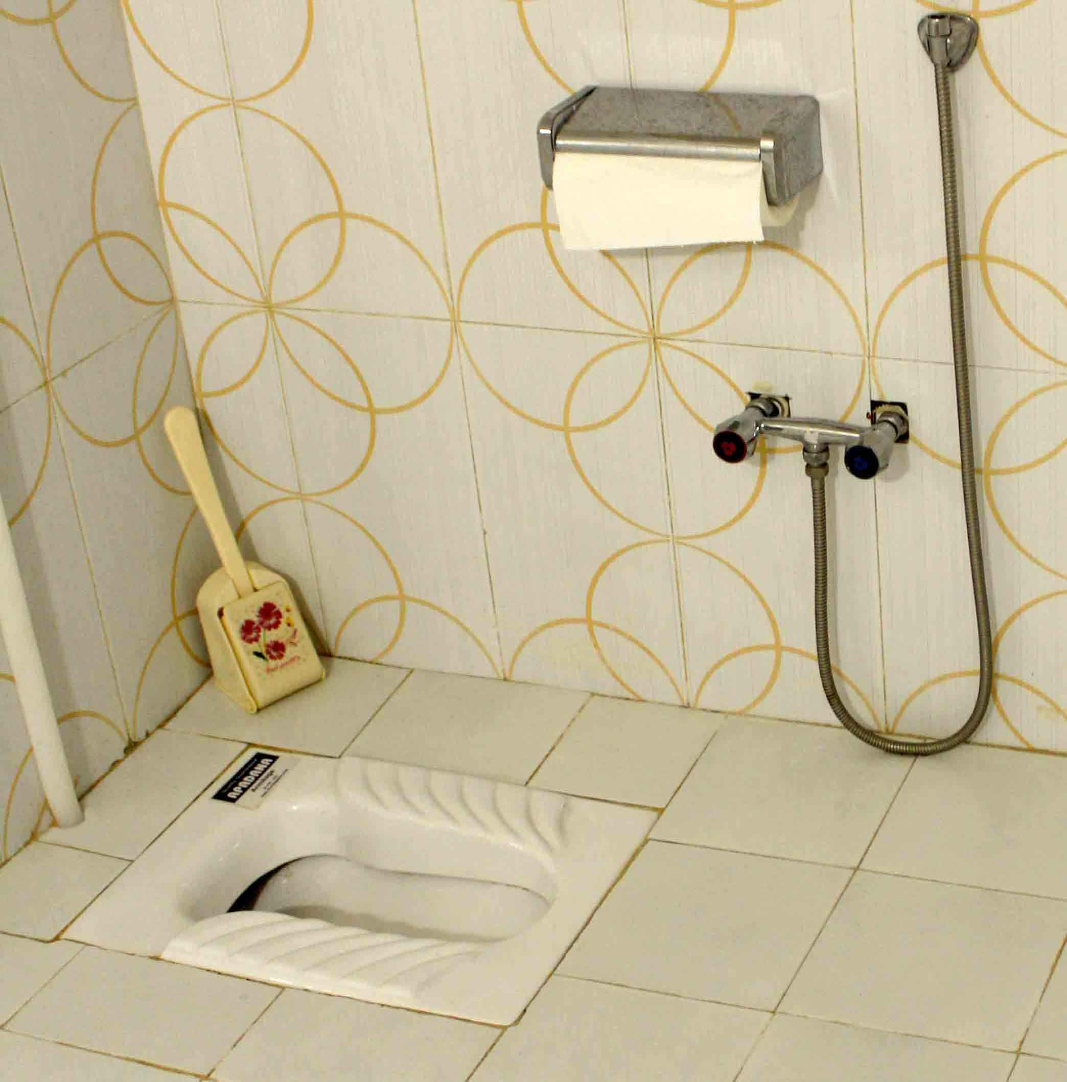 squat toilet in Iran